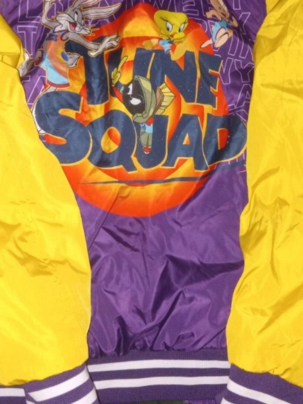 Members Only Jacket - Picture 3 of 3